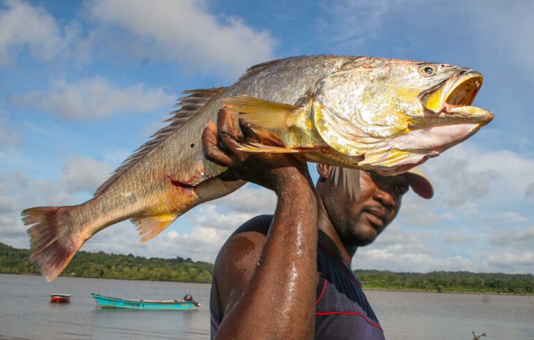 PESCADO-01